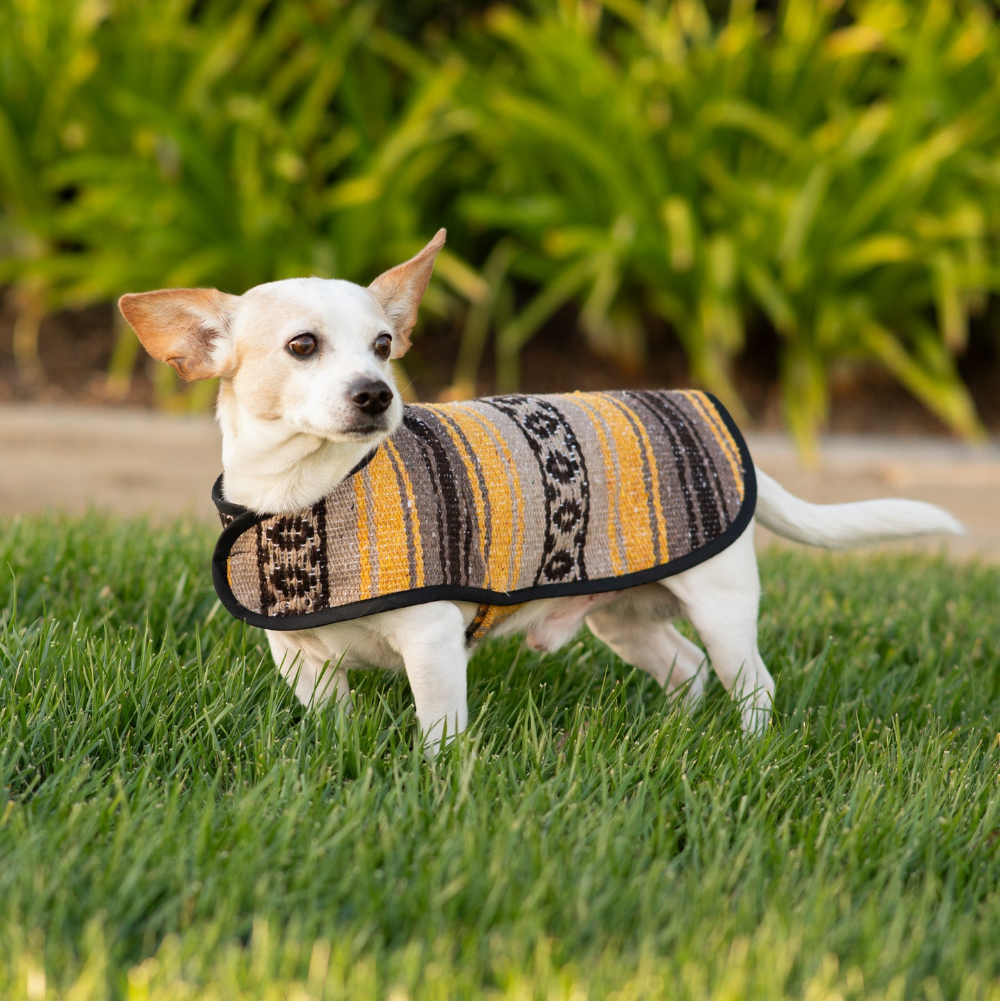 Traditional Mexican Ponchos