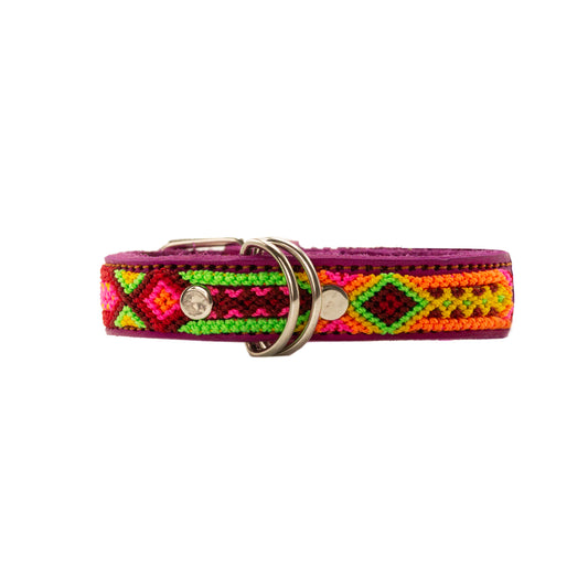 Custom-made pet collar from Chiapas, Mexico, featuring unique silk thread embellishments
