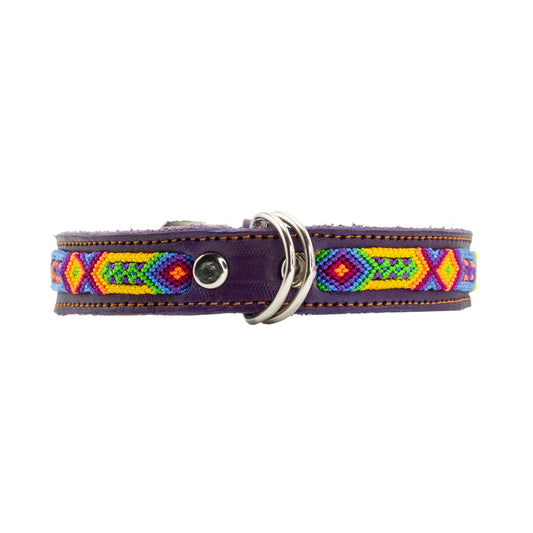 Unique pet collar reflecting the artistry of Mexican craftsmanship