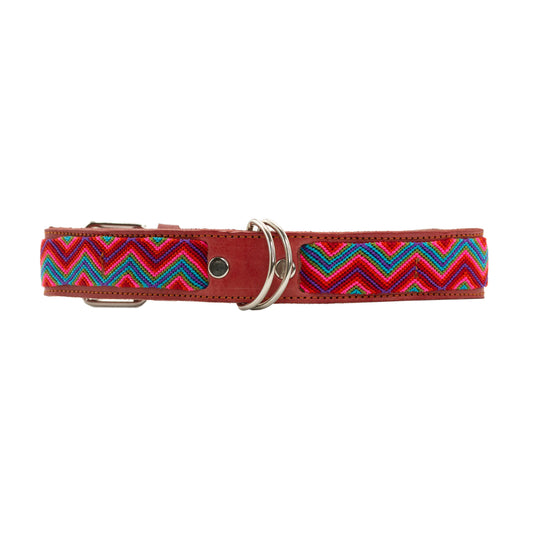 Paws-itively charming pet collar with whimsical silk thread designs
