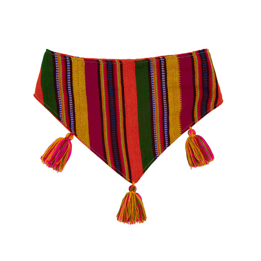 Color-explosion dog bandana, adding fun and flair to your pet's attire.