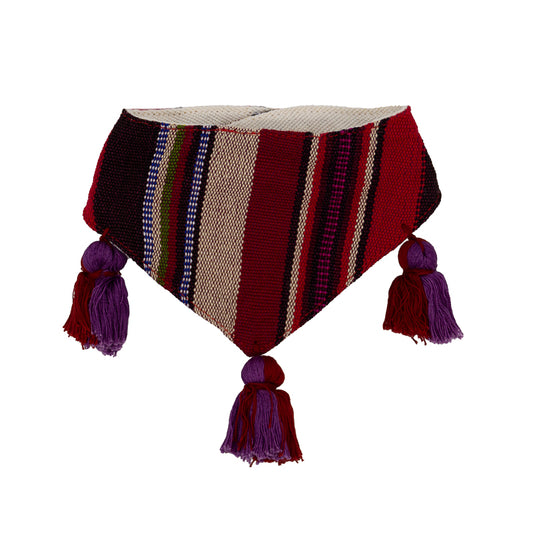 Whimsically designed dog bandana in a palette of stylish colors.