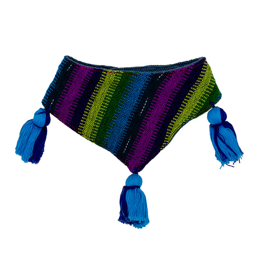 Whimsically designed dog bandana in a palette of cheerful colors.