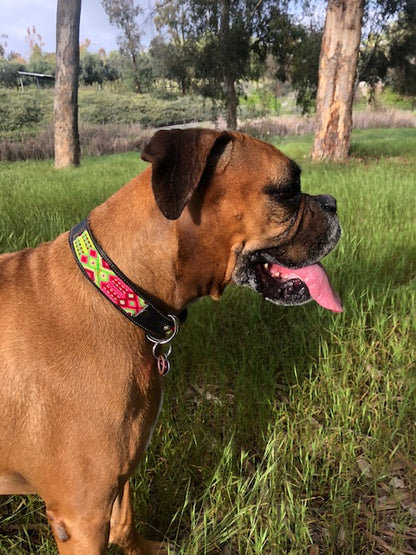 A Boxer dog rocks a casual yet stylish vibe with an artisanal collar, adding a touch of charm to its look