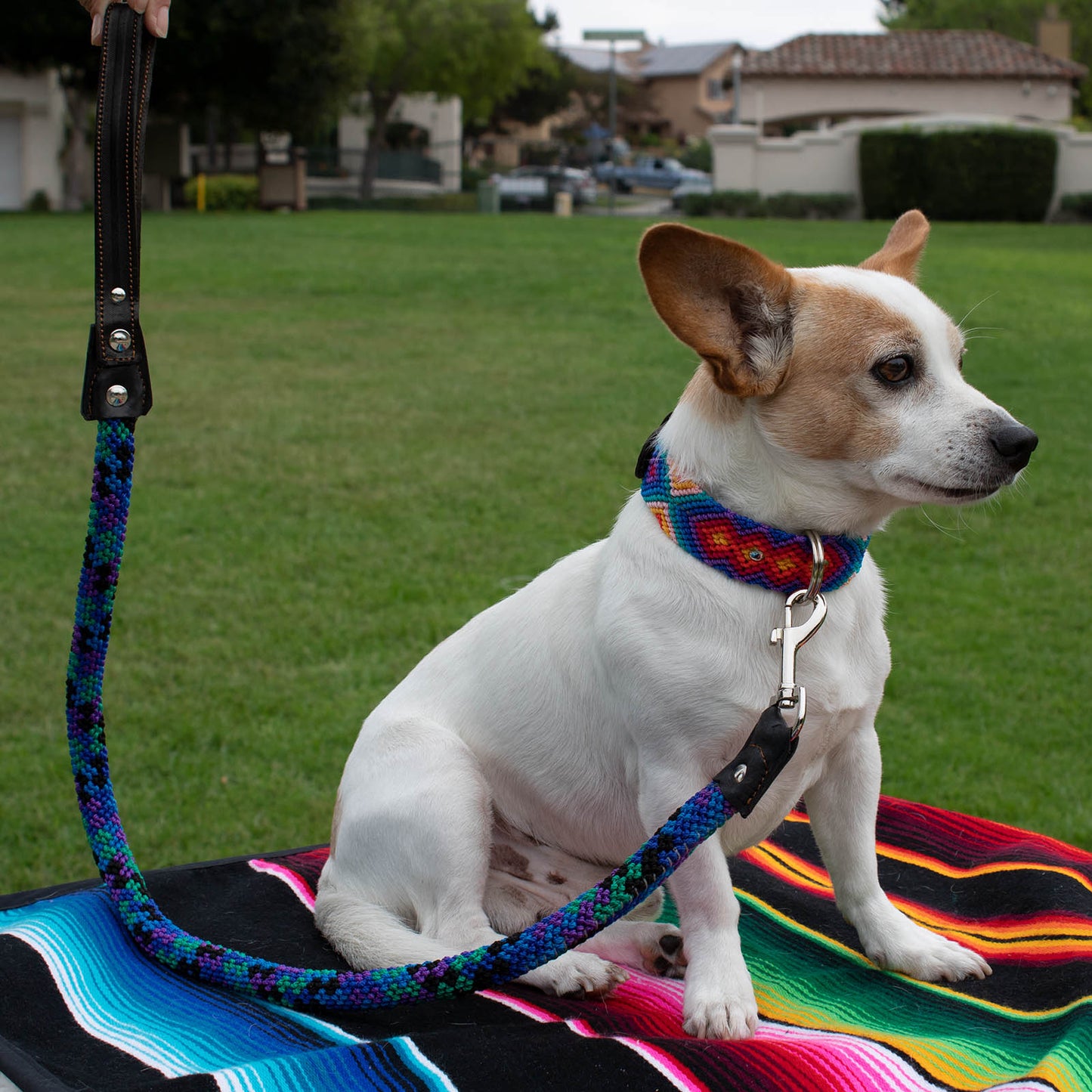 Handwoven Leash Round