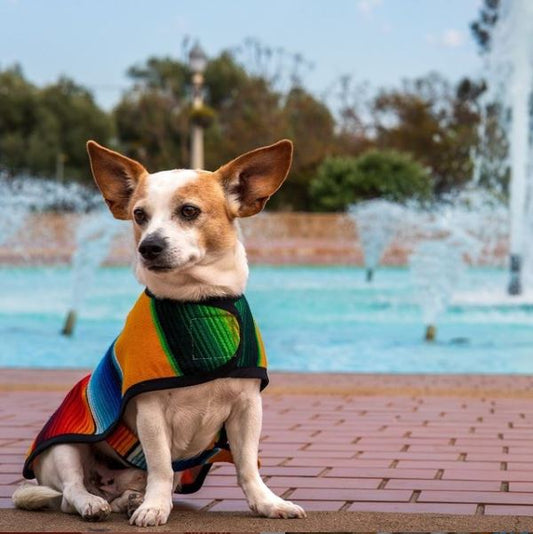 Traditional Mexican Ponchos