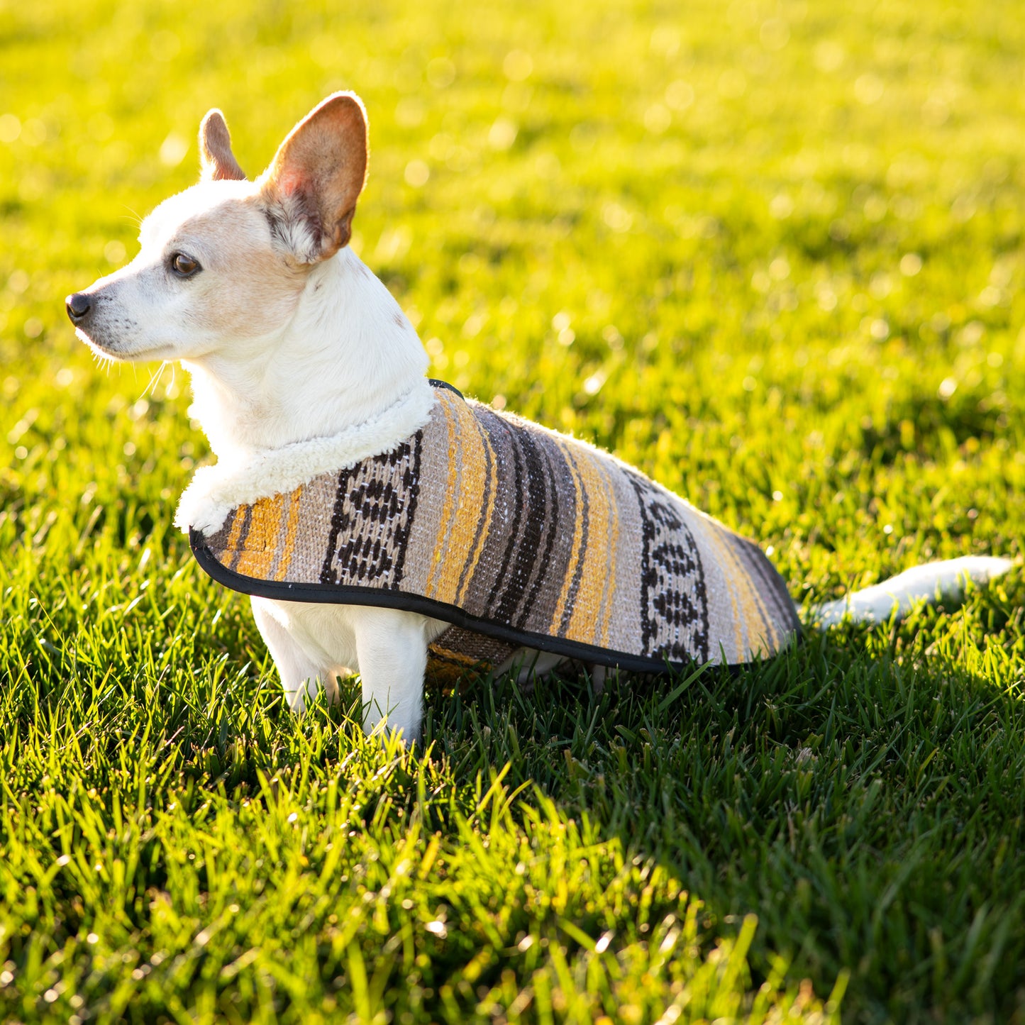 Sherpa Fleece Mexican Ponchos