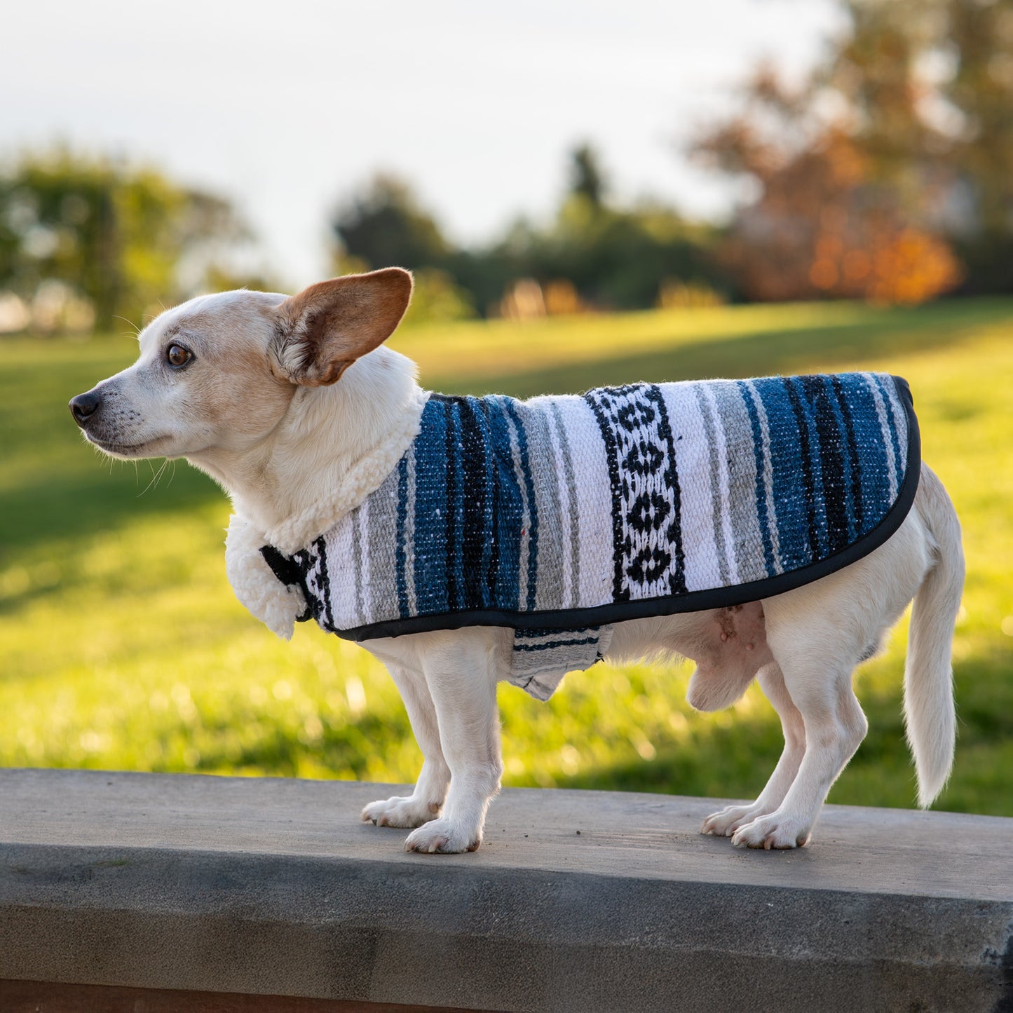 Sherpa Fleece Mexican Ponchos