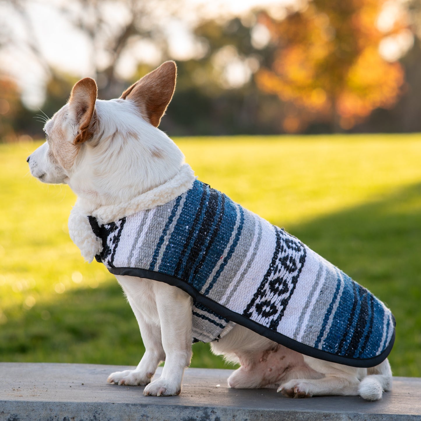 Sherpa Fleece Mexican Ponchos