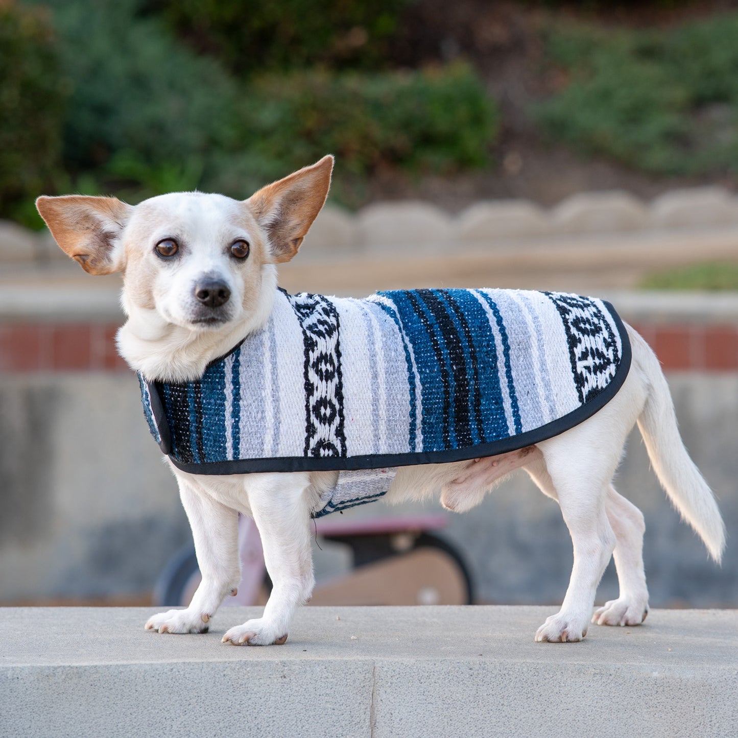 Traditional Mexican Ponchos