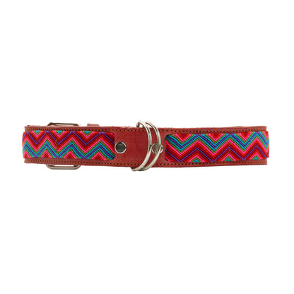 Paws-itively charming pet collar with whimsical silk thread designs