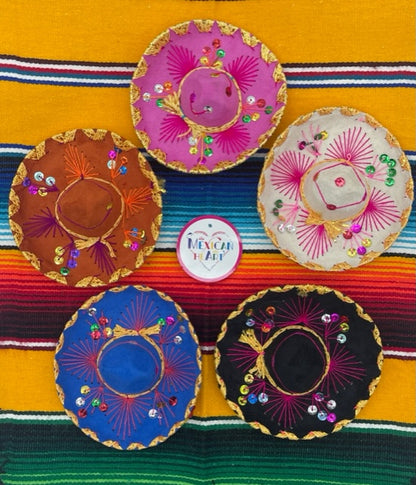 Adorable sombreros for pets, ready for a fiesta