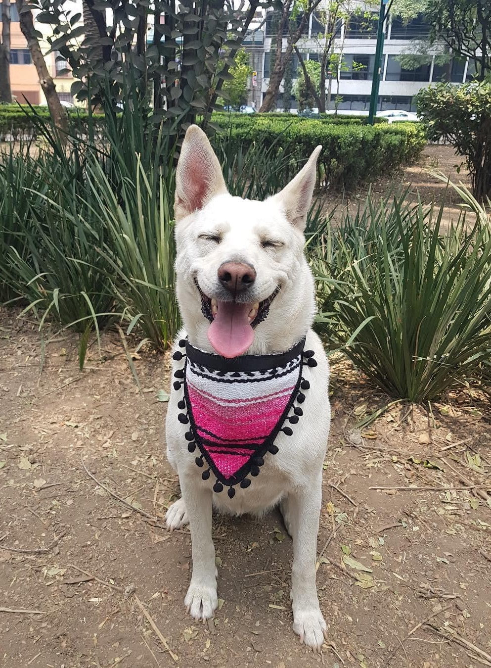 Bandana Tlaxcala L